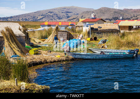 La collecte de l'île de roseaux sur les îles Uros, îles flottantes de roseaux sur le lac Titicaca, le Pérou, Amérique du Sud Banque D'Images