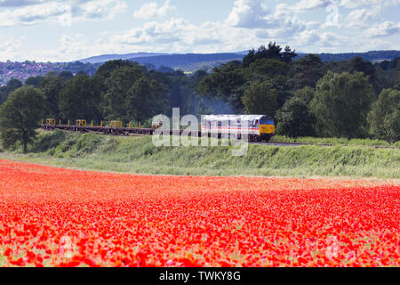 Classe 50 préservés locomotive passant sur la voie de chemin de fer du patrimoine l'été en anglais scène champêtre. UK champ de coquelicots en premier plan. Banque D'Images