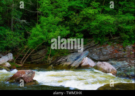 Linvile River traverse le début de la tige qui forme une cascade de près de 2 000 pieds de Linville dans une gorge sauvage. Banque D'Images