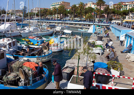 Les bateaux de pêche et bateaux dans le port de San Remo, ville portuaire sur la côte ligurienne, ligurie, italie Banque D'Images