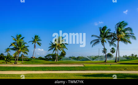 Terrain de golf sur Grand Cayman étant l'eau, îles Caïman Banque D'Images