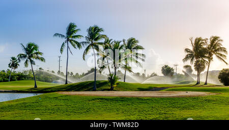 Golf sur l'île Grand Caïman par la mer des Caraïbes d'être arrosé, Îles Caïmanes Banque D'Images