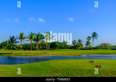 Parcours de golf sur l'île Grand Cayman par la mer des Caraïbes, les Îles Caïmans Banque D'Images