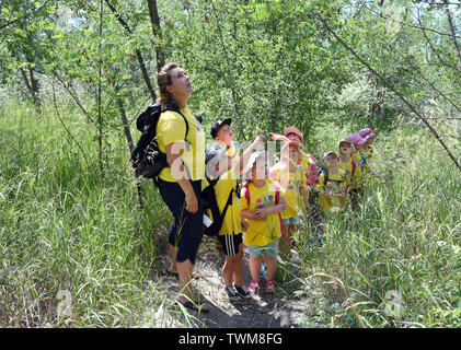 18 juin 2019, la Saxe-Anhalt, Mücheln-Stöbnitz : les enfants du groupe ant du jardin d'aventure 'Rainbow' dans Mücheln-Stöbnitz à pied avec leur éducateur Jennifer Geheb dans la forêt près de leur petit abri fortifié à l'Geiseltalsee tour d'observation. Tous les jours jusqu'à 12 enfants d'âge pré-scolaire et leurs enseignants d'explorer la nature et de l'richement boisée, non loin du plus grand lac artificiel d'Allemagne. Le concept pédagogique est basé sur une proximité de la nature et de l'apprentissage expérientiel. Photo : Waltraud Grubitzsch/dpa-Zentralbild/ZB Banque D'Images