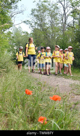 18 juin 2019, la Saxe-Anhalt, Mücheln-Stöbnitz : les enfants du groupe ant du jardin d'aventure 'Rainbow' dans Mücheln-Stöbnitz à pied avec leur éducateur Jennifer Geheb dans la forêt près de leur petit abri fortifié à l'Geiseltalsee tour d'observation. Tous les jours jusqu'à 12 enfants d'âge pré-scolaire et leurs enseignants d'explorer la nature et de l'richement boisée, non loin du plus grand lac artificiel d'Allemagne. Le concept pédagogique est basé sur une proximité de la nature et de l'apprentissage expérientiel. Photo : Waltraud Grubitzsch/dpa-Zentralbild/ZB Banque D'Images