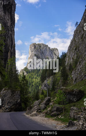 Paysage estival de la célèbre les Gorges de Bicaz (Canyon) dans le comté de Neamt, Roumanie. Banque D'Images