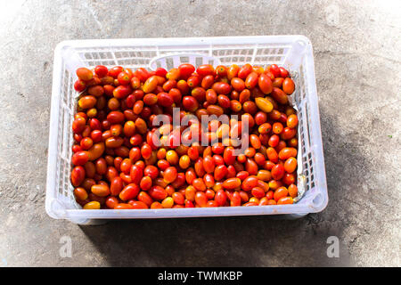 Vue de dessus closeup détail de tomates cerises rouges en plastique transparent contenant ouvert emballage haute résolution galerie d'images. Banque D'Images