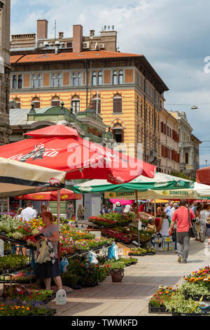 Marché tous les jours à Rijeka, Croatie Banque D'Images