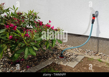 Connexion d'un pipeline d'eau dans un jardin Banque D'Images