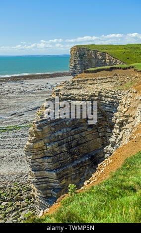 Les falaises de Nash Point sur la côte du Glamorgan en Galles du sud sur une journée ensoleillée en Juin Banque D'Images