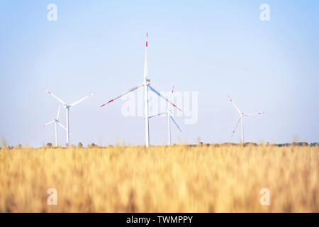 Usine éolienne dans le champ de blé doré. Paysage d'été lumineux Banque D'Images