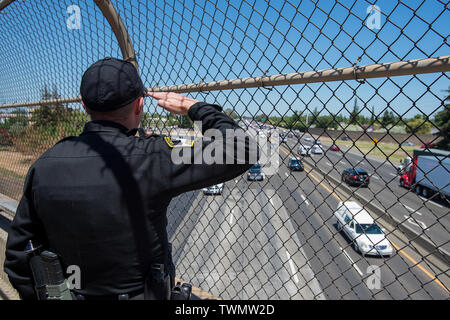 Sacramento, CA, USA. 21 Juin, 2019. Sacramneto Administrateur Craig Bliss salue comme l'honneur défilé pour Sacramento Police officer Tara OÃ¢â€™Sullivan fait baisser l'autoroute 99 près de Florin Road à l'Herberger Funeral Home Vendredi, 21 juin 2019 à Sacramento. Crédit : Paul Kitagaki Jr./ZUMA/Alamy Fil Live News Banque D'Images