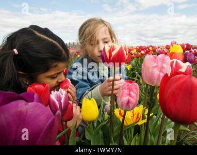 Deux jeunes filles dans un champ de tulipes. Banque D'Images