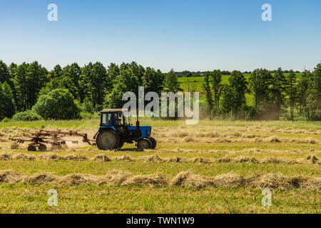 Un vieux tracteur est en remuant le foin fauché sur un matin d'été ensoleillé pour un meilleur séchage. Le fourrage pour les vaches pour l'hiver. Banque D'Images