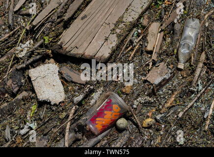 Glastonbury, CT / USA - 8 juin 2019 : déchets flottants empilés sur le côté de la rivière Banque D'Images