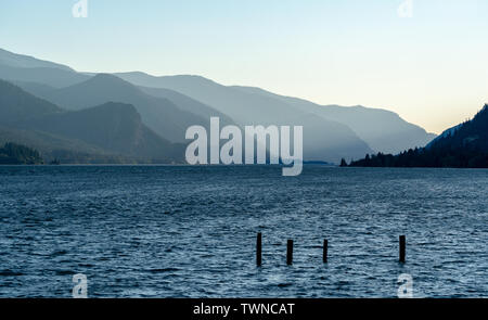 Collines verdoyantes de la gorge du fleuve Columbia, Oregon/Washington, Pacifique Nord-Ouest, Columbia River Valley, destination touristique pour les surfeurs de cerf-volant Banque D'Images