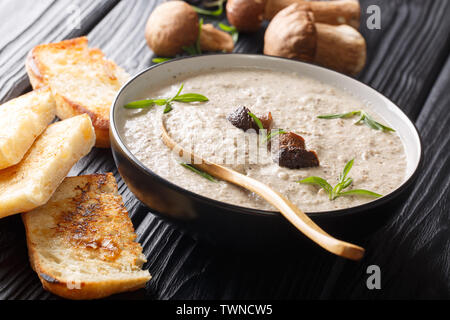 Soupe végétarienne aux champignons sauvages frais de purée de pomme de close-up dans un bol servi avec des toasts sur la table horizontale. Banque D'Images