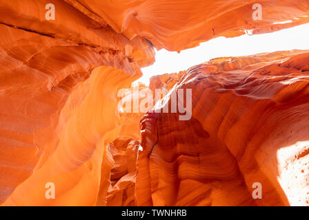 Magnifique paysage autour de la célèbre Antelope Canyon à Page, Arizona X Banque D'Images