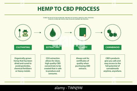 Le Chanvre pour processus de la CDB sur le cannabis illustration infographique horizontale comme produits de la médecine alternative, de la santé et des sciences médicales. Illustration de Vecteur