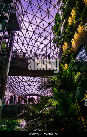 Singapour - Jun 11, 2019 : l'aéroport de Changi est un joyau à usage mixte à l'aéroport de Changi à Singapour, a ouvert ses portes en avril 2019. Banque D'Images