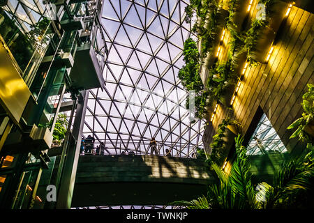 Singapour - Jun 11, 2019 : l'aéroport de Changi est un joyau à usage mixte à l'aéroport de Changi à Singapour, a ouvert ses portes en avril 2019. Banque D'Images