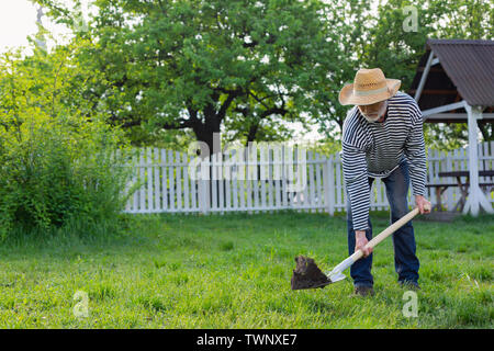 Creuser la terre. Homme aux cheveux gris portant chapeau de paille et chemise rayée creusant dans son jardin Banque D'Images