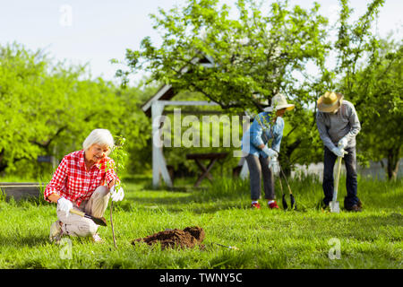 Les retraités aimer la nature. Trois retraités qui travaillent dur aimer la nature en plantant des arbres dans le jardin Banque D'Images