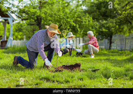 Arbres en quartier. Les retraités actifs vivant dans des maisons chalet la plantation d'arbres dans les quartiers Banque D'Images