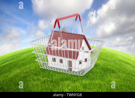 Panier avec maison miniature sur champ d'herbe verte avec ciel bleu Banque D'Images