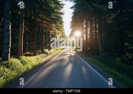 Empty country road in forest au beau coucher de soleil, République Tchèque Banque D'Images