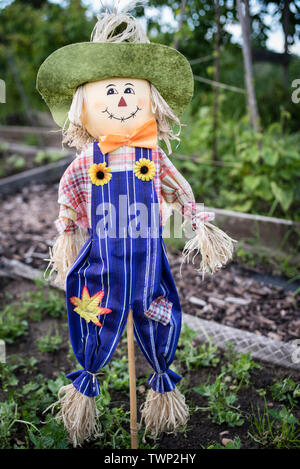 Un amusant et décoratif poupée de paille l'épouvantail sur un potager. Banque D'Images