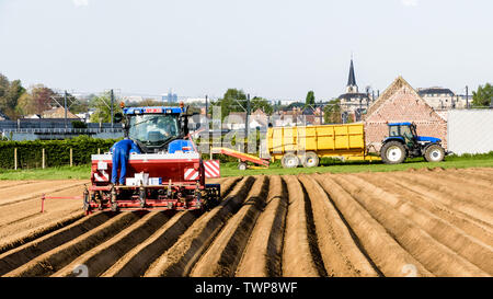 Deux agriculteurs plantent un champ labouré avec pomme de terre, à l'aide d'un tracteur et d'un semoir remorque, sur un matin de printemps ensoleillé à la périphérie de Bruxelles. Banque D'Images