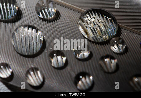 Plume et Goutte d'eau .macro photographie de gouttes d'eau sur une plume d'oiseau. Banque D'Images