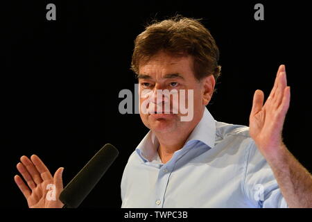 Vienne, Autriche. 22st juin 2019. Assemblée nationale du Parti Vert Vienne. Élection de la liste des candidats du Parti Vert Vienne pour l'élection du Conseil national sur 29 septembre 2019. L'image montre le candidat principal du Parti Vert autrichien, Werner Kogler. Crédit : Franz PERC/Alay Live News Banque D'Images