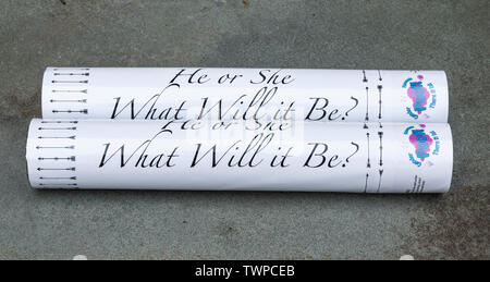 East Islip, New York, USA - 28 Avril 2019 : Deux boîtes que lire, il ou elle que sera-t-elle, pouvant exploser confetti bleu ou rose prise en t Banque D'Images