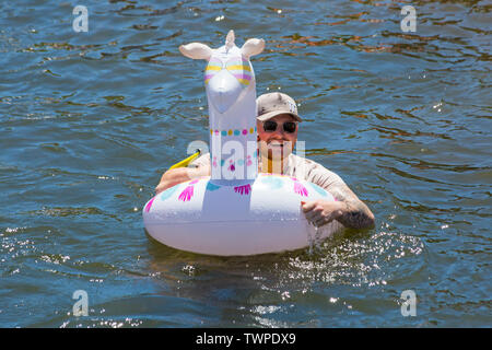 Iford, Dorset, UK. 22 juin 2019. Un temps magnifique, ensoleillé et chaud, toujours pour Dorset Canot Journée avec des centaines de jeux gonflables, des dériveurs, artisanat, conseils formant une flottille, de mettre les voiles de l'IFORD pont rivière Stour de Tuckton bridge. L'événement a commencé en 2014 comme un petit peu de plaisir, mais est maintenant devenu un événement annuel recueillant des fonds pour des organismes de bienfaisance et fonceur plus grand chaque année. L'homme s'amusant sur lama gonflable gonflable. Credit : Carolyn Jenkins/Alamy Live News Banque D'Images