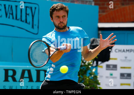 Londres, Royaume-Uni. 22 Juin, 2019. Londres, ANGLETERRE - 2 juin : Gilles Simon (FRA) contre Daniil Medvedev (RUS) lors de la demi-finale Jour 6 championnats Fever-Tree à Queens Club le 22 juin 2019 à Londres, Royaume-Uni. Action Crédit : Foto Sport/Alamy Live News Banque D'Images