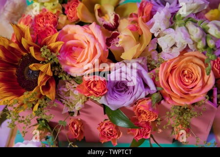 Arrangement de fleurs mixtes : diverses fleurs dans différentes nuances de rouge, rose, jaune et orange. Bouquet mélangé coloré avec différentes fleurs de printemps en f Banque D'Images