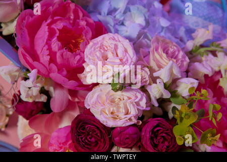 Arrangement de fleurs mixtes : diverses fleurs dans différentes nuances de rouge, rose, jaune et orange. Bouquet mélangé coloré avec différentes fleurs de printemps en f Banque D'Images