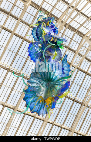 Chambre tempérée perses est une sculpture de verre artiste contemporaine USA Dale Chihuly, suspendu en l'Europe chambre à Kew Gardens, Londres. Banque D'Images