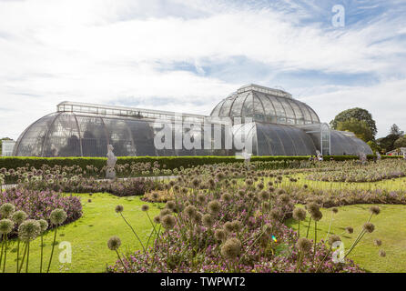 Vue depuis le parterre du célèbre Palm House à Kew Gardens, Richmond. Banque D'Images