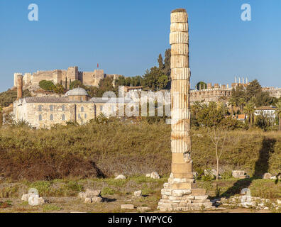 Ruines du temple d'Artemis d'Ephèse, une des sept merveilles du monde. Banque D'Images