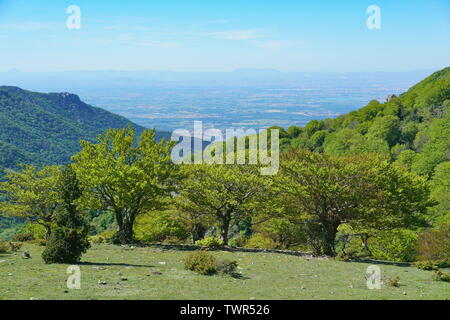 France paysage, la plaine du Roussillon vu depuis les montagnes du massif des Albères, Pyrénées Orientales Banque D'Images