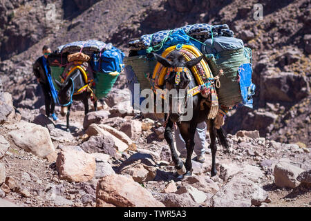 Montagnes de l'ATLAS, AU MAROC. 30Th Aug 2017. Un voyage à travers les montagnes de l'Atlas jusqu'au point le plus élevé de l'Afrique du Nord et le monde arabe, Jebel Toubk Banque D'Images