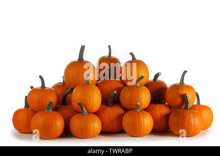 De nombreux tas de citrouilles orange isolé sur fond blanc , Halloween concept Banque D'Images