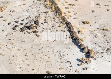 Vue d'hélicoptère d'un grand tronc d'arbre pétrifié sur place sur le sol du désert près de Painted Desert National Park en Arizona. Banque D'Images