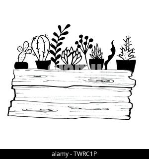 Ensemble de cactus, hand drawn vector illustration Illustration de Vecteur