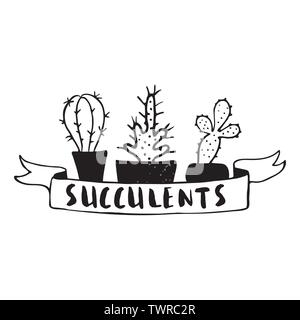 Ensemble de cactus, hand drawn vector illustration Illustration de Vecteur