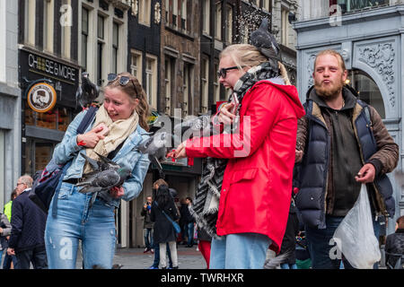 Pigeons d'alimentation sur des terres en touristes millénaire Place du Dam Amsterdam Pays-Bas - pigeons sur les gens - les pigeons volant près de personnes Banque D'Images