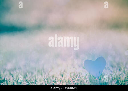 Arrière-plan de l'herbe : Abstract natural background Green grass avec un beau Bokeh. Tôt le matin dans la rosée sur le dessus de l'herbe. Banque D'Images